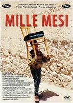 Mille mesi (DVD)