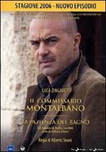 Il commissario Montalbano. La pazienza del ragno