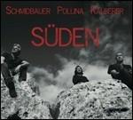 Süden - CD Audio di Pippo Pollina,Werner Schmidbauer,Martin Kälberer