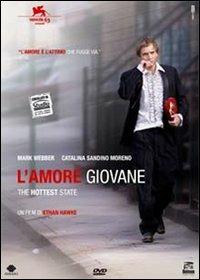 L' amore giovane di Ethan Hawke - DVD