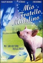 Mio fratello maialino (DVD)