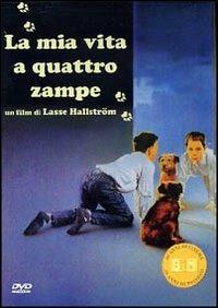 La mia vita a quattro zampe di Lasse Hällstrom - DVD