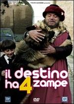 Il destino ha 4 zampe