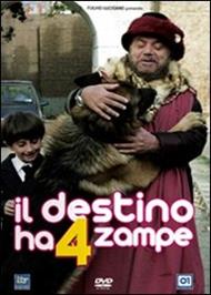 Il destino ha 4 zampe