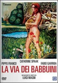 La via dei babbuini di Luigi Magni - DVD