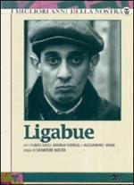 Ligabue (3 DVD)