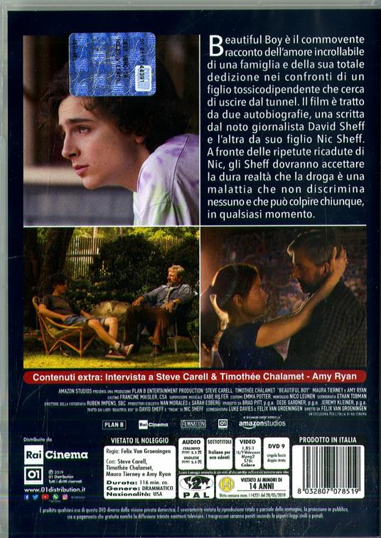 Beautiful Boy (DVD) di Felix van Groeningen - DVD - 2