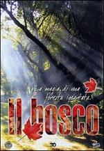 Il bosco