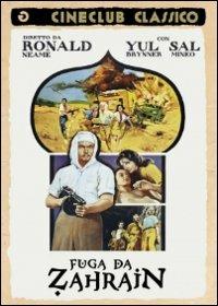 Fuga da Zahrain di Ronald Neame - DVD
