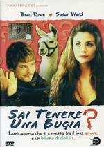 Sai tenere una bugia? (DVD)