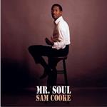 Mr. Soul