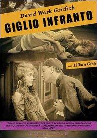 Giglio infranto (DVD) di David Wark Griffith - DVD