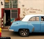 Blue Rose Store