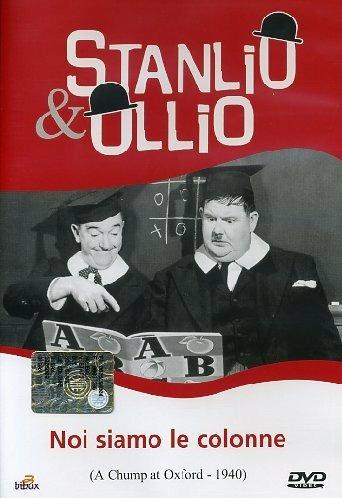 Stanlio&Ollio. Noi siamo le colonne (DVD) di Alfred J. Goulding - DVD