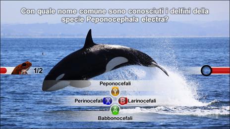 NatGeo Quiz! Wild Life - 4