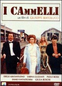 I cammelli di Giuseppe Bertolucci - DVD
