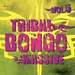 Tribal Bongo Massive vol.5