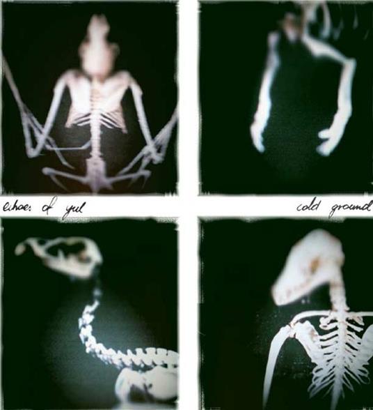 Cold Ground - CD Audio di Echoes of Yul