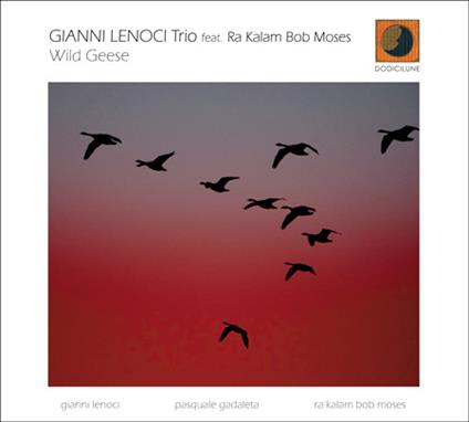 Wild Geese - CD Audio di Gianni Lenoci