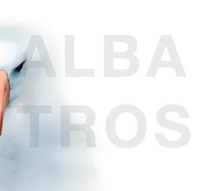 Albatros - Vinile LP di Norbert Dalsass,E-Volution
