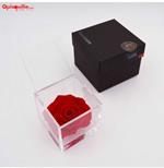 Flower cube rosa rossa - Cubo Rosa Stabilizzata - 6