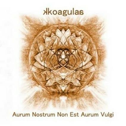 Aurum Nostrum Non Est Aurum Vulgi - CD Audio di Kkoagulaa