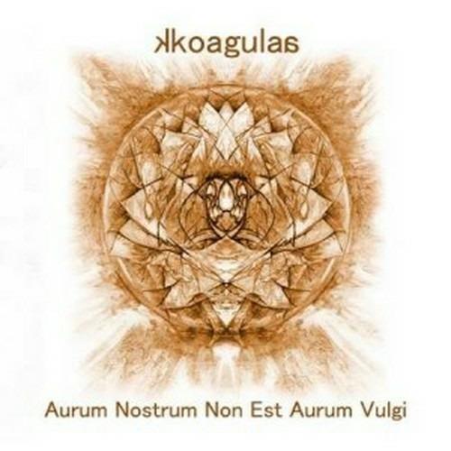 Aurum Nostrum Non Est Aurum Vulgi - CD Audio di Kkoagulaa