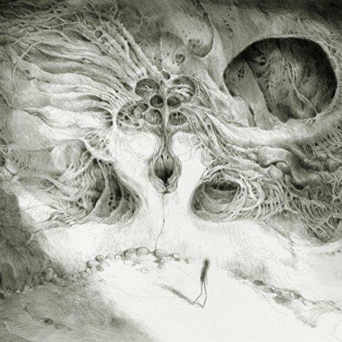 Into the Void of Human Vacuity (Digipack) - CD Audio di Wastes