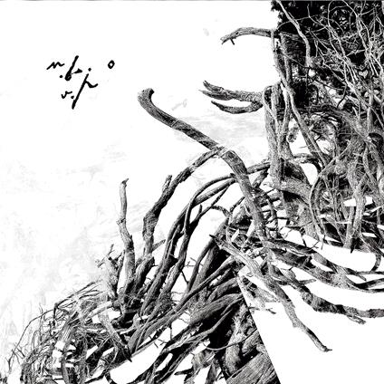 Virstele Pamintului (White Edition) - Vinile LP di Negura Bunget