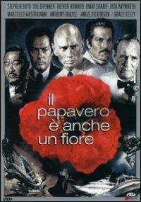 Il papavero è anche un fiore di Terence Young - DVD