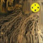 Spore - CD Audio di Sybiann