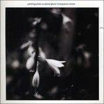 Transparent Winter - CD Audio di Painting Petals on