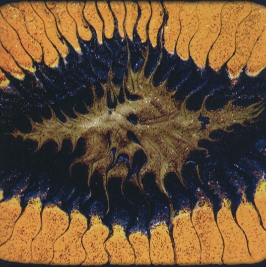 A Splendid Chaos - CD Audio di Coram Lethe