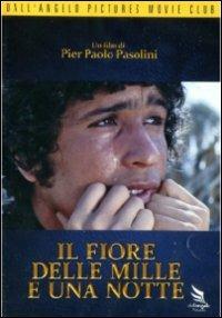 Il fiore delle Mille e una Notte di Pier Paolo Pasolini - DVD