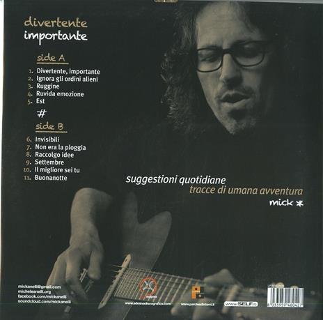 Divertente importante - Vinile LP di Michele Anelli - 2