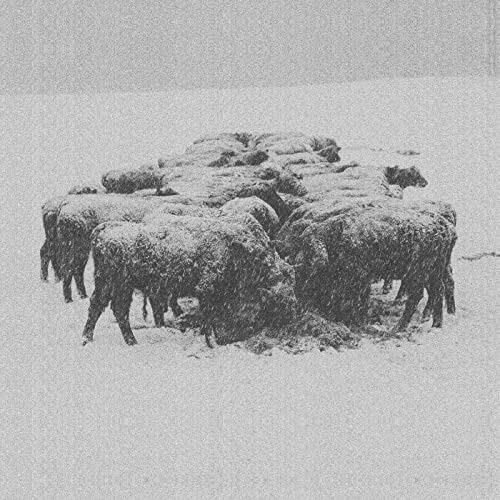 Ten Times the World Lied - CD Audio di Bvdub