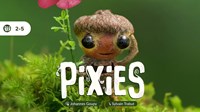 Cranio Creations - Pixies Flower Power - Espansione Gioco Da Tavolo In Italiano - 14 Carte Per 2-5 Giocatori - 3