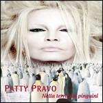 Nella terra dei pinguini - CD Audio di Patty Pravo