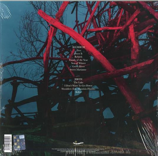 Rebirth (180 gr.) - Vinile LP di Wrongonyou - 2