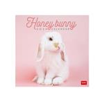 Calendario 2024, da parete, 30 x 29 cm HONEY BUNNY