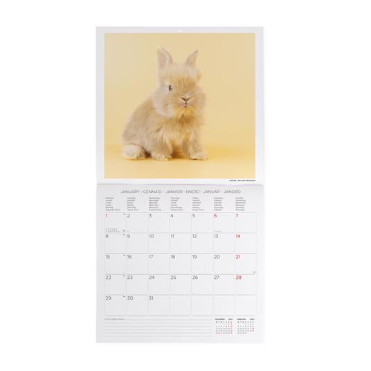Calendario 2024, da parete, 30 x 29 cm HONEY BUNNY - 2