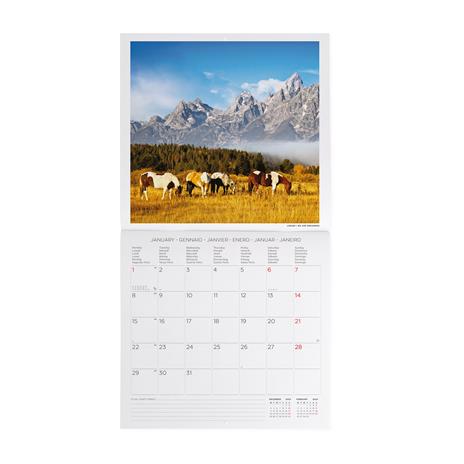 Calendario 2024, da parete, 30 x 29 cm WILD HORSES - 2