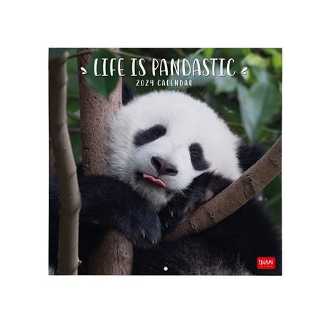 Calendario 2024, da parete, 30 x 29 cm LIFE IS PANDASTIC