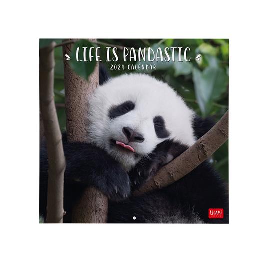 Calendario 2024, da parete, 30 x 29 cm LIFE IS PANDASTIC