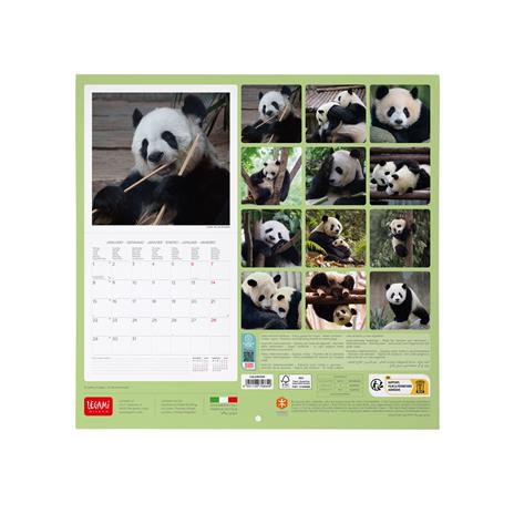 Calendario 2024, da parete, 30 x 29 cm LIFE IS PANDASTIC - 3