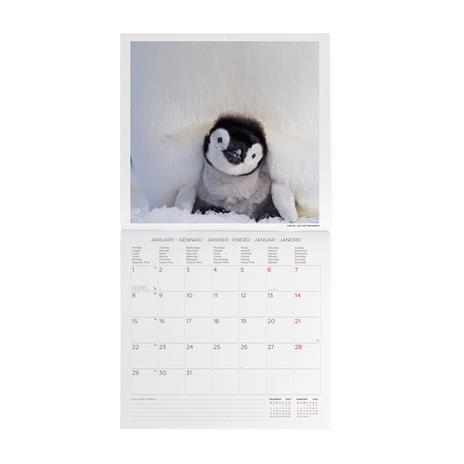 Calendario 2024, da parete, 30 x 29 cm PENGUINS - 2