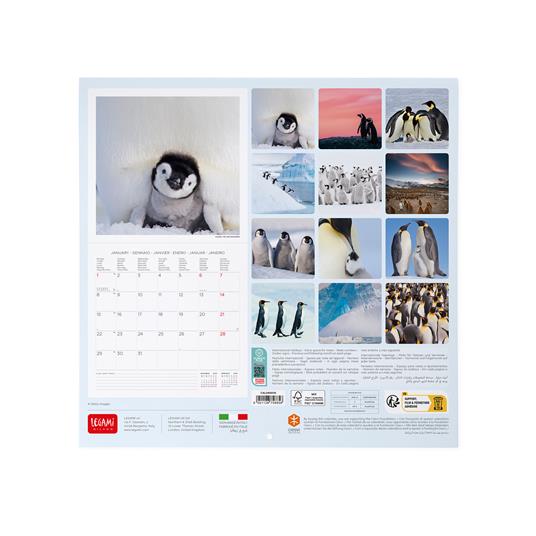 Calendario 2024, da parete, 30 x 29 cm PENGUINS - 3