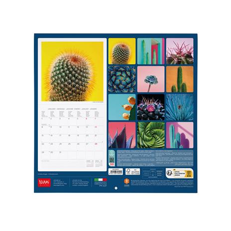 Calendario 2024, da parete, 30 x 29 cm SUCCULENTS - 3