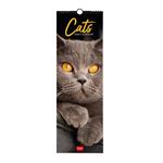 Calendario 2024, da parete, 16 x 49 cm CATS