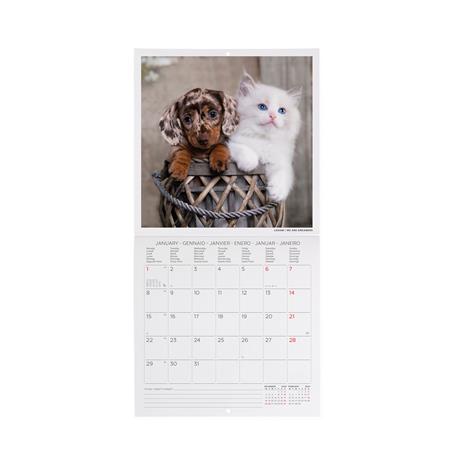 Calendario 2024, da parete, 18 x 18 cm BEST FRIENDS - 2